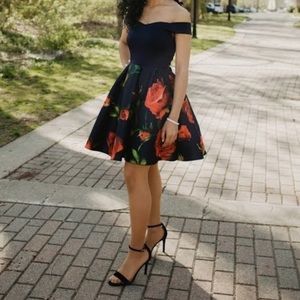 Navy Blue/Red Roses Dress